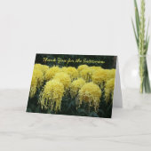 Interview Merci (Devant)