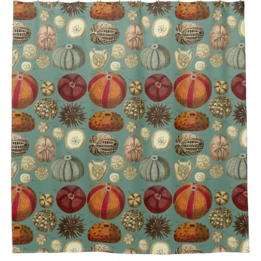 Intestina et Mollusca Linnaei Douchegordijn (Voorkant)