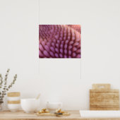 Intestinale Villi Poster (Keuken)