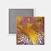 Intimate Iris Magneet (Voorkant / Achterkant)
