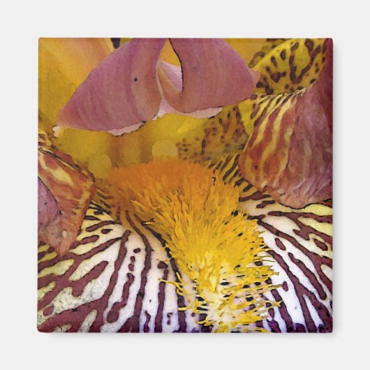 Intimate Iris Magneet (Voorkant)