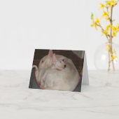 Intimideer mamma's en zoon kaart (Gele Bloem)