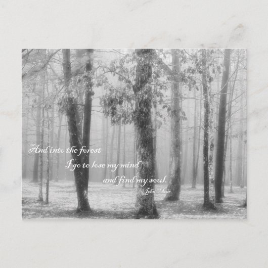 Into the Forest I Go - Carte postale (Devant)