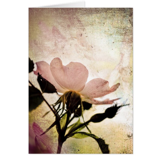 Into the Mystic (Devant)