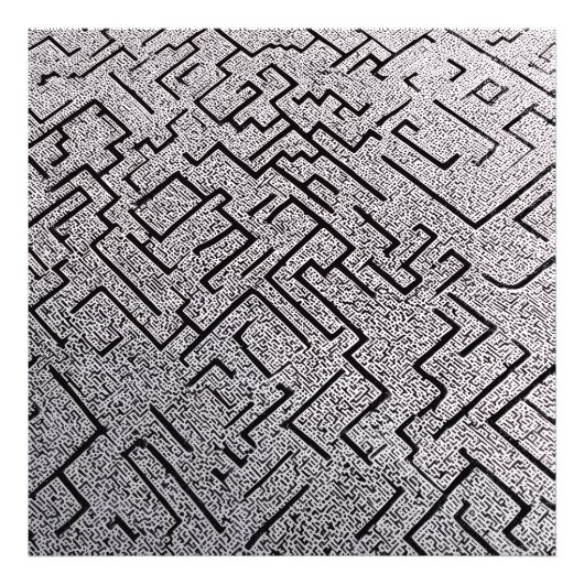 Intricate Black & White Labyrinth Maze Foto Afdruk (Voorkant)