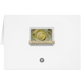 Intrigue amoureuse à Paris (Dos Horizontal)