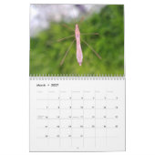 Intriguing Insects Calendar Kalender (Mar 2027)