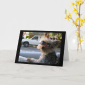 Introductie: JACK! Kaart (Gele Bloem)