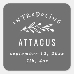 Introductie van de geboorte van een filiaal vierkante sticker