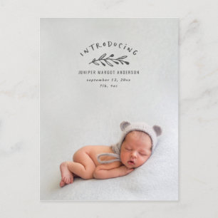 Introductie van de geboorteaankondiging van de fot briefkaart