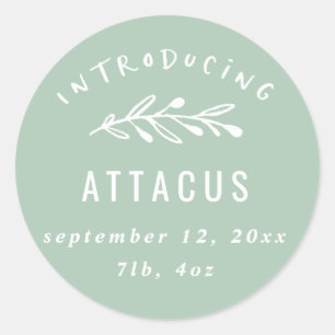 Introductie van geboortekaartjes voor filialen ronde sticker