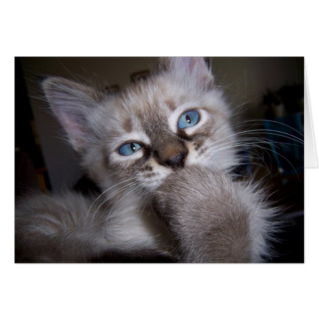 Introspectieve Thinker (Voorkant Horizontaal)