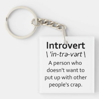 Introvert Sleutelhanger
