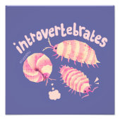 Introvertébrés isopodes - impression d'art moyen (Devant)
