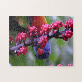 Invallen voor een snack - Rainbow Loriket Legpuzzel