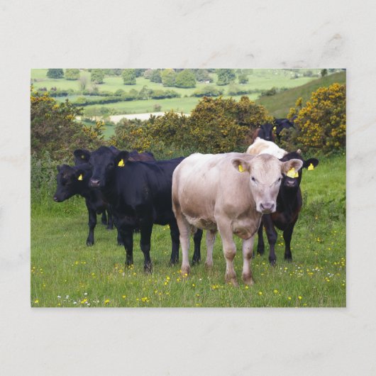 Invasie Briefkaart (Voorkant)