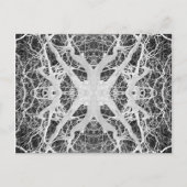 Inverse Briefkaart van Treetop Spider op het Web (Voorkant)