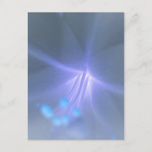 Inverser la carte postale Lily