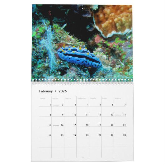 Invertébrés du calendrier fidjien 2020 (Feb 2026)