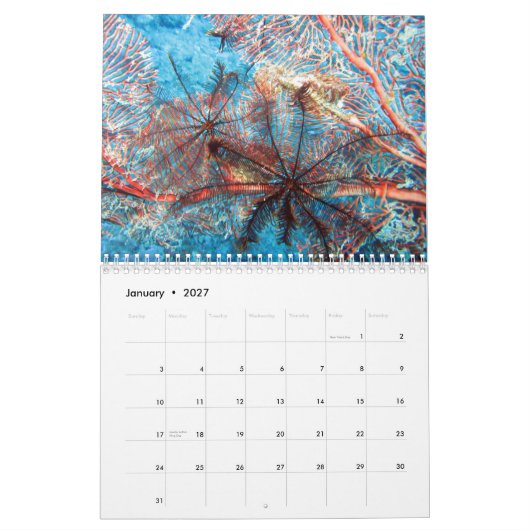 Invertébrés du calendrier fidjien 2020 (Jan 2027)