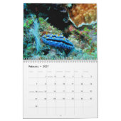 Invertébrés du calendrier fidjien 2020 (Feb 2027)