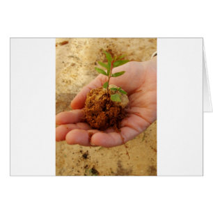 Investeren voor groei