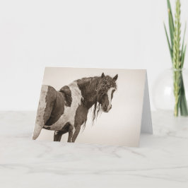 "Invincible" Note-Kaart Kaart