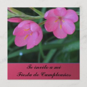 Invitación - De invito a mi Fiesta de Cumpleaños Kaart