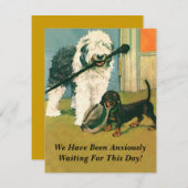 INVITATIE PARTIJEN Honden die het laatst wachten Kaart (Voorkant / Achterkant)