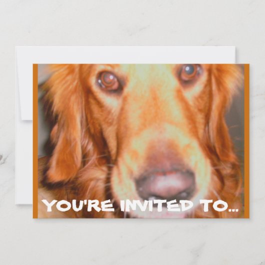 INVITATIES VAN DOGGIE BIRTHDAY-PARTIJ KAART (Voorkant)