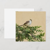 Invitation (Devant / Derrière)