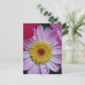 Invitation (Debout devant)