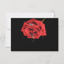 0410-Rose rouge avec anneaux Mariages