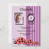 Invitation 1er anniversaire ajouter photo ladybugs rouge viol (Devant)
