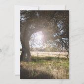 Invitation 2 Arbres Rustiques Midi Crépuscule Coucher de Sole (Dos)