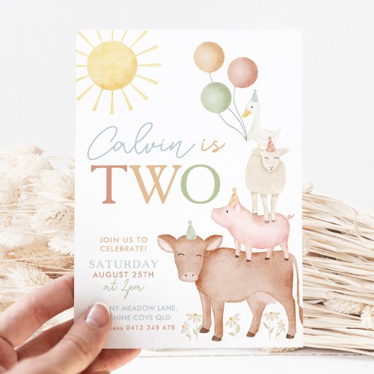 Invitation 2e anniversaire Animaux de ferme Barnyard Party Bo