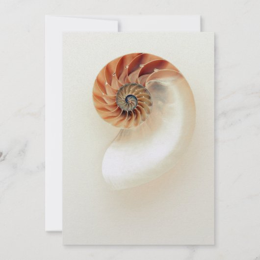Invitation 30e anniversaire de Mariage Pearl Nautilus Shell (Dos)