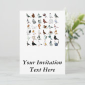 Invitation 36 races de pigeon (Debout devant)