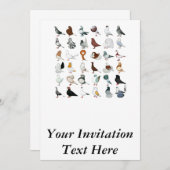 Invitation 36 races de pigeon (Devant / Derrière)
