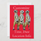 Invitation 3 Meerkats debats Thunder_Cove (Devant)