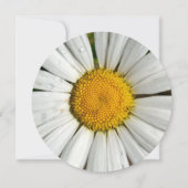 Invitation 5,25 x 5,25 Cercle d'invitation (Devant)