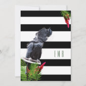 Invitation 60e anniversaire perroquet noir blanc rayures Anni (Devant)