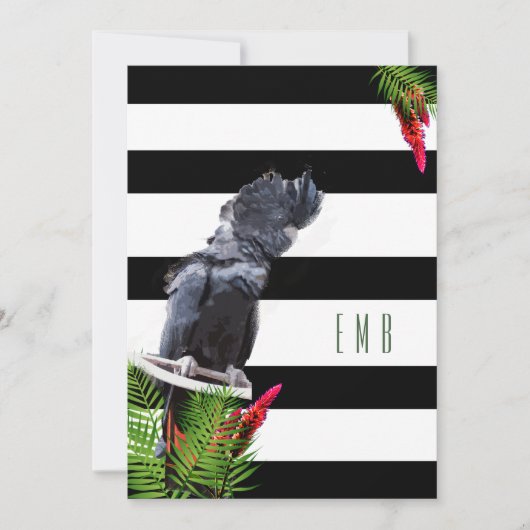 Invitation 60e anniversaire perroquet noir blanc rayures Anni (Devant)
