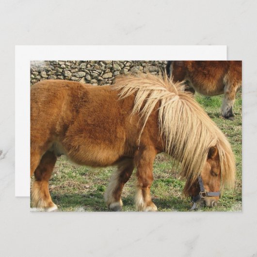 Invitation à Cheval de châtaignier (Devant / Derrière)