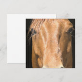 Invitation à Cheval de châtaignier (Devant / Derrière)