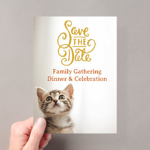 Invitation à dîner en famille de chaton