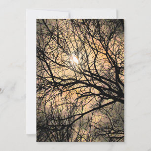 Invitation à Halloween de lune mystique