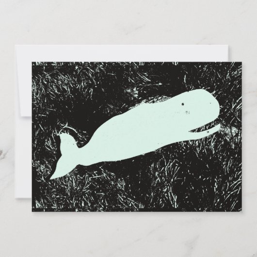 invitation à la baleine blanche (Devant)