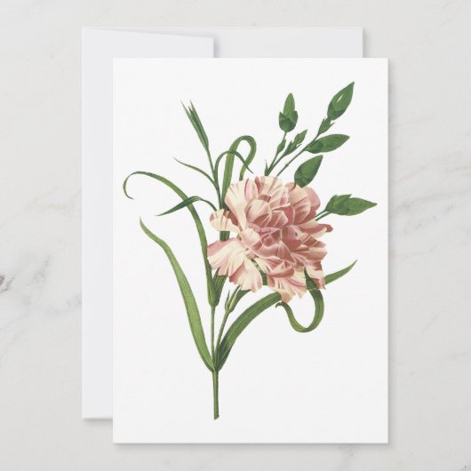 Invitation à la carnation (Devant)