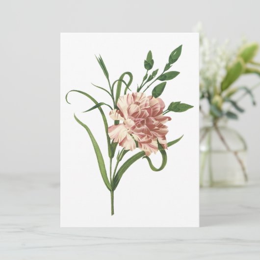 Invitation à la carnation (Debout devant)